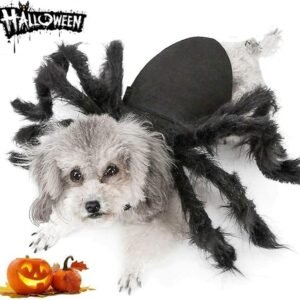 Dog Cat Spider Costume for Halloween Party Decoration, Halloween Cosplay Costumes for Small Dogs and Cat, Puppy Dress Up Accessories