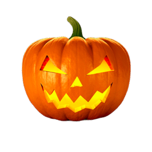 Creepy Crawly Wall Web Kit